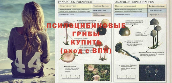 мдма Вяземский