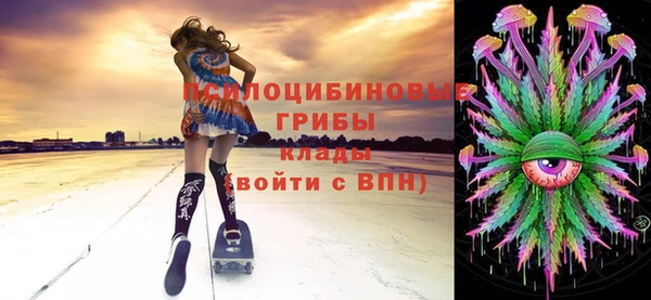 молекула духа Вязники